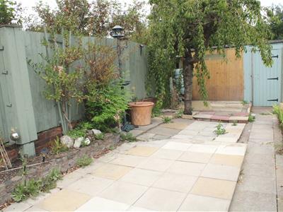 Picture 15